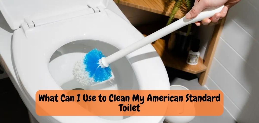 What Can I Use to Clean My American Standard Toilet