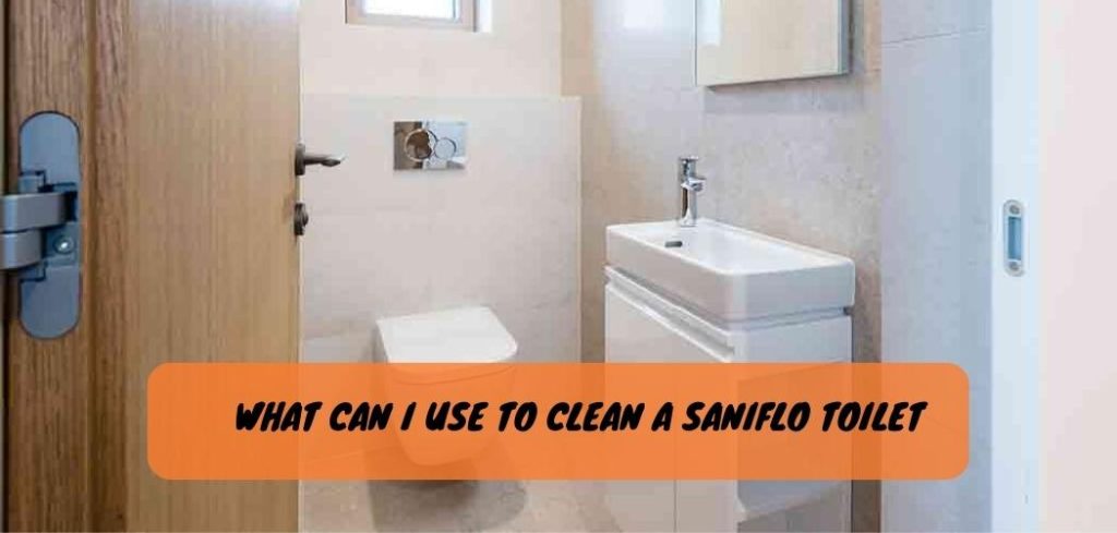 What Can I Use to Clean a Saniflo Toilet