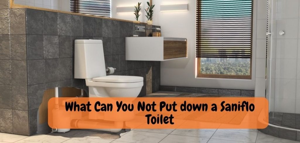 What Can You Not Put down a Saniflo Toilet