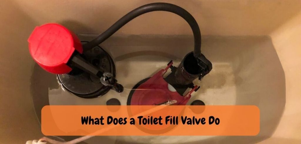 What Does a Toilet Fill Valve Do: A Comprehensive Guide