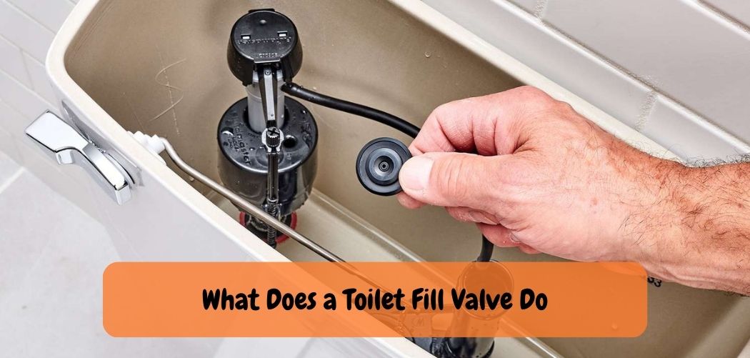 What Does a Toilet Fill Valve Do