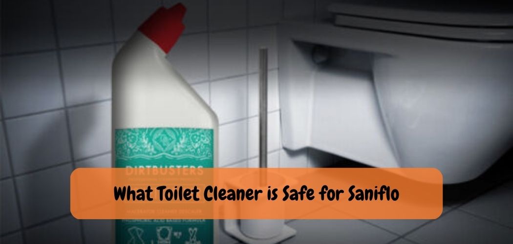 What Toilet Cleaner is Safe for Saniflo