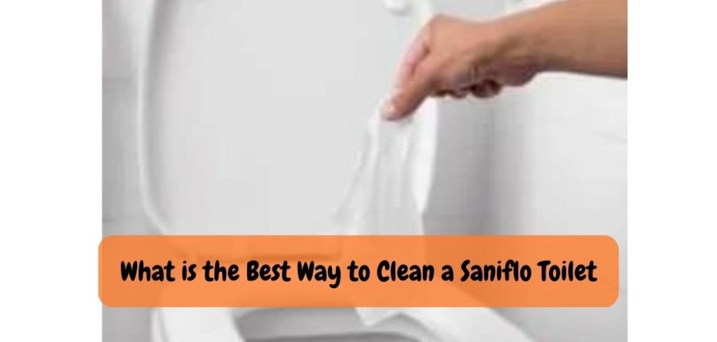 What is the Best Way to Clean a Saniflo Toilet 1