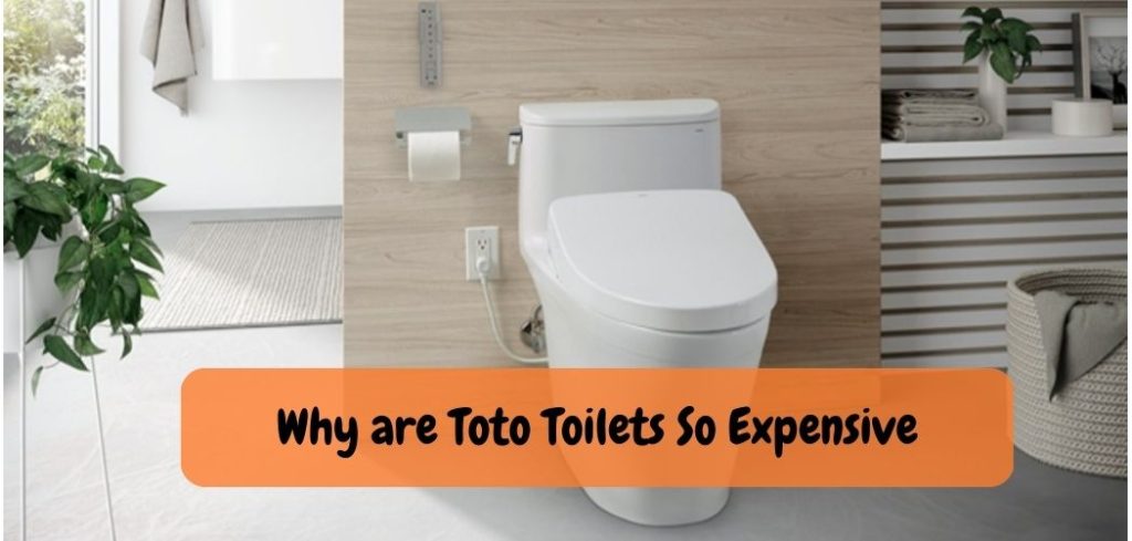 Why are Toto Toilets So Expensive