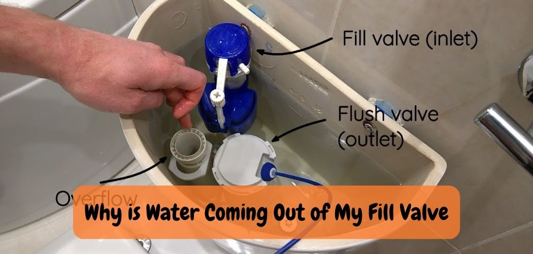 Why Toilet Fill Valve Leaking: Discovering The Reasons!