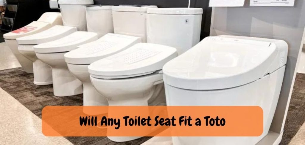 Will Any Toilet Seat Fit a Toto