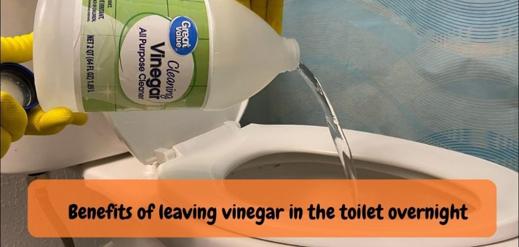 Benefits of leaving vinegar in the toilet overnight
