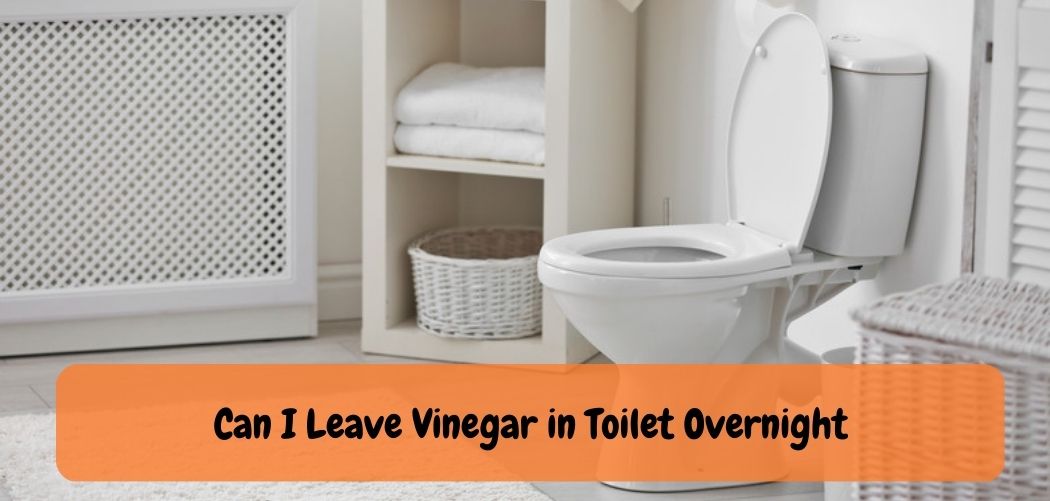 Can I Leave Vinegar in Toilet Overnight