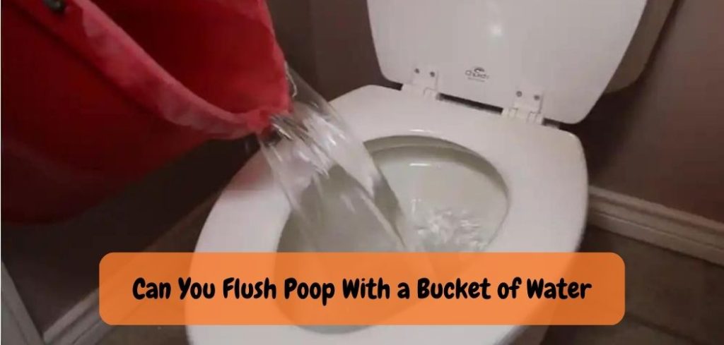 Can You Flush Poop With a Bucket of Water