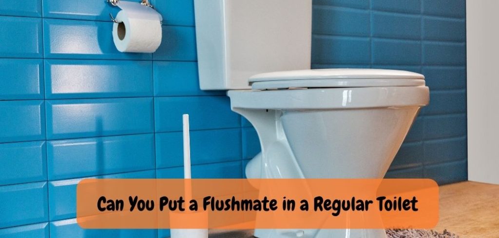 Can You Put a Flushmate in a Regular Toilet