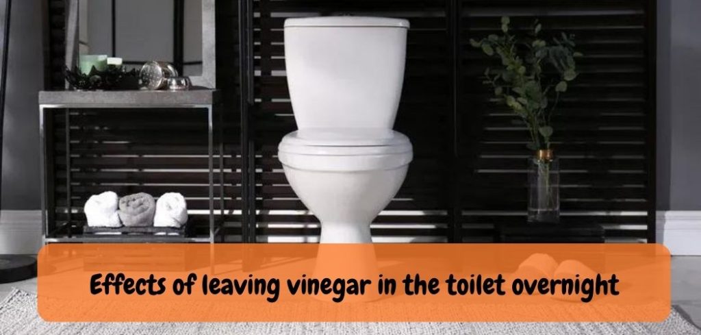Effects of leaving vinegar in the toilet overnight