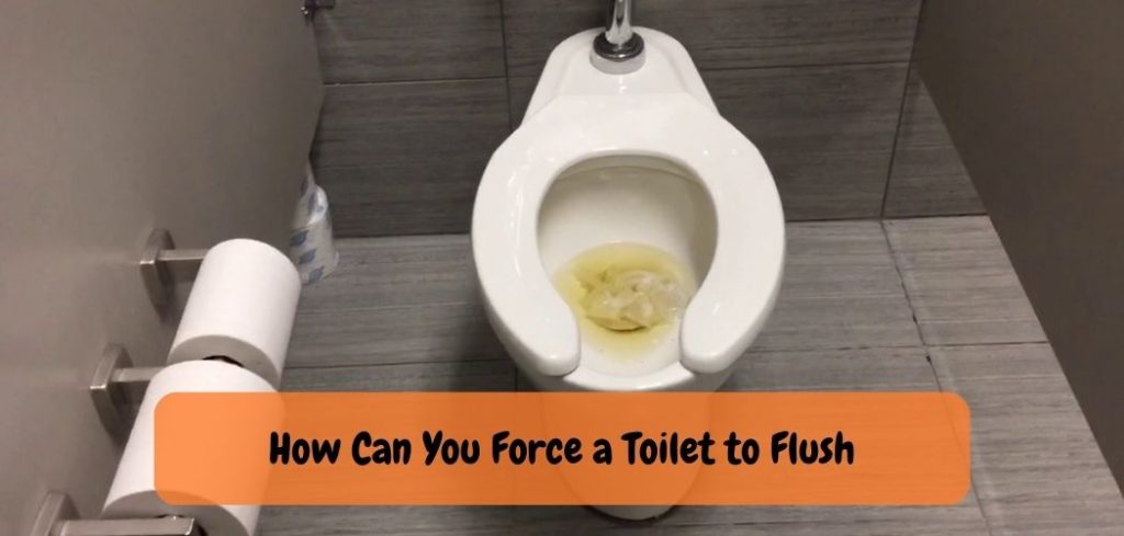 How Can You Force a Toilet to Flush