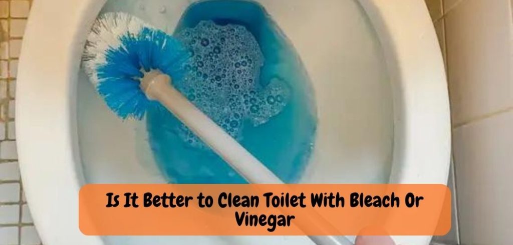 Is It Better to Clean Toilet With Bleach Or Vinegar