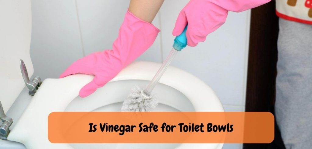 Is Vinegar Safe for Toilet Bowls