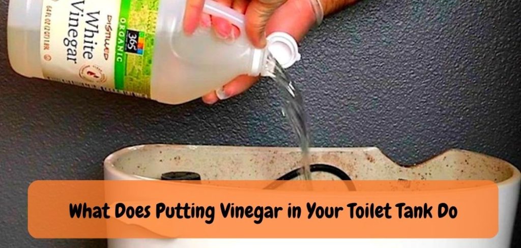 What Does Putting Vinegar in Your Toilet Tank Do
