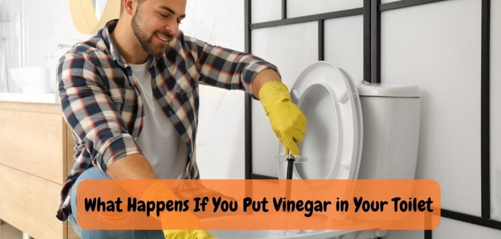What Happens If You Put Vinegar in Your Toilet
