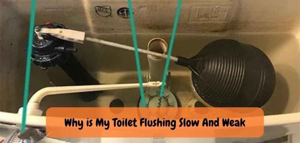 Why is My Toilet Flushing Slow And Weak
