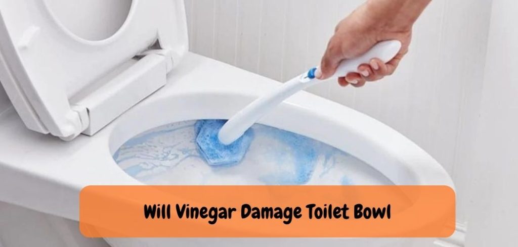 Will Vinegar Damage Toilet Bowl