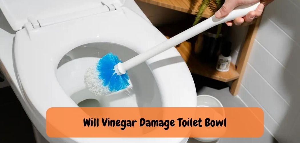 Will Vinegar Damage Toilet Bowl
