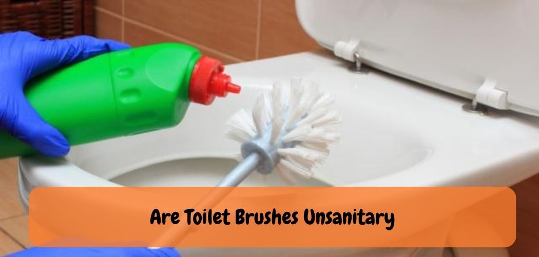 Are Toilet Brushes Unsanitary