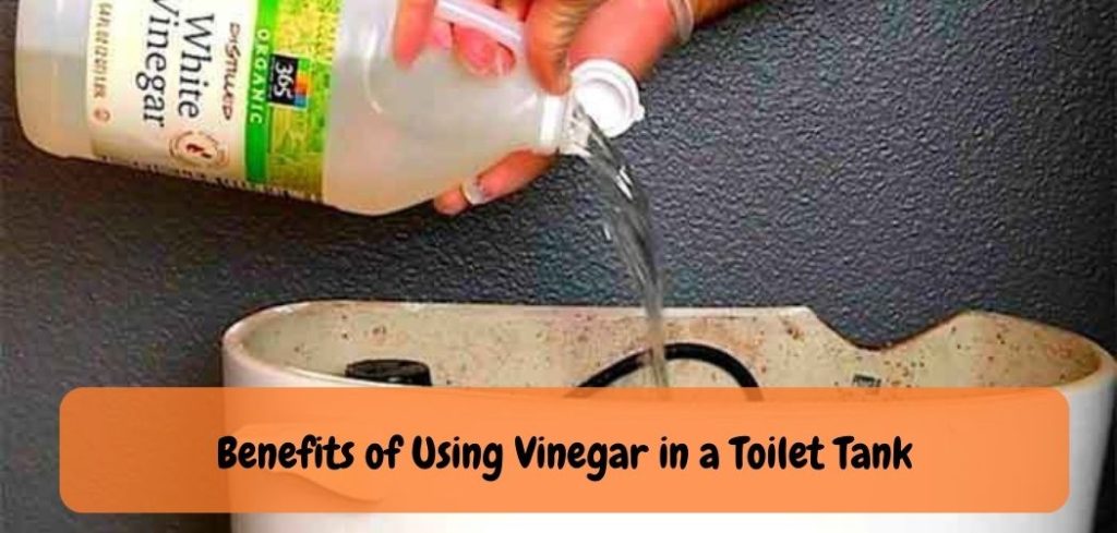 Benefits of Using Vinegar in a Toilet Tank