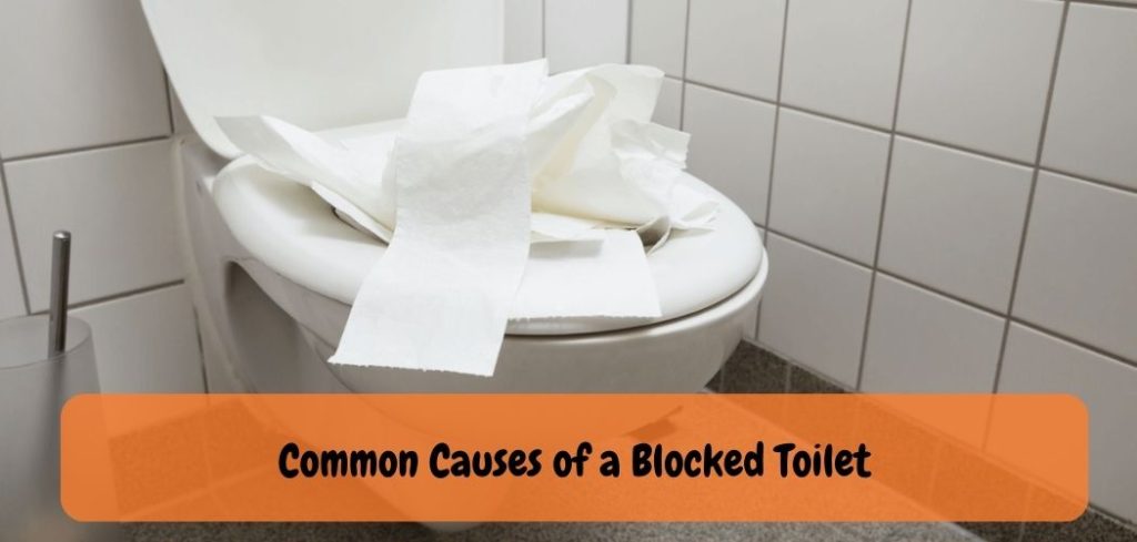 Common Causes of a Blocked Toilet