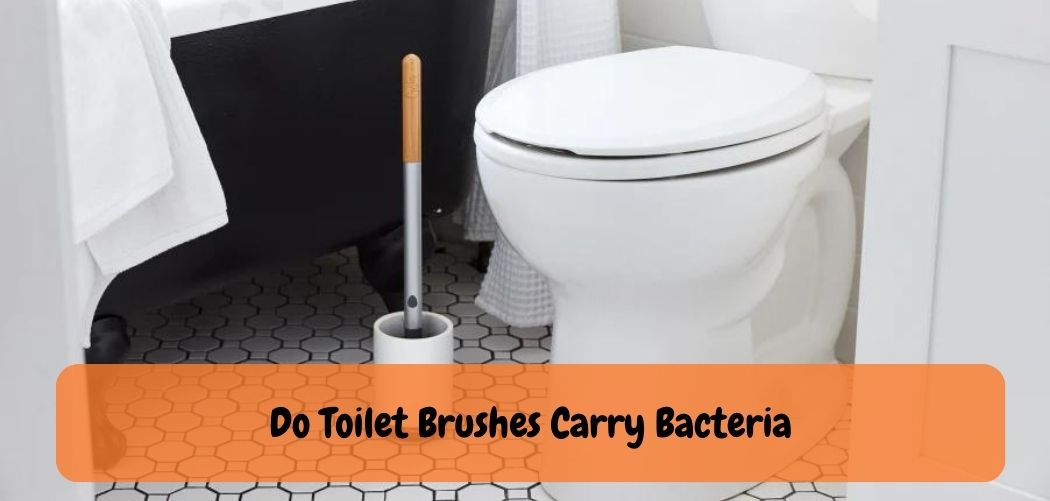 Do Toilet Brushes Carry Bacteria