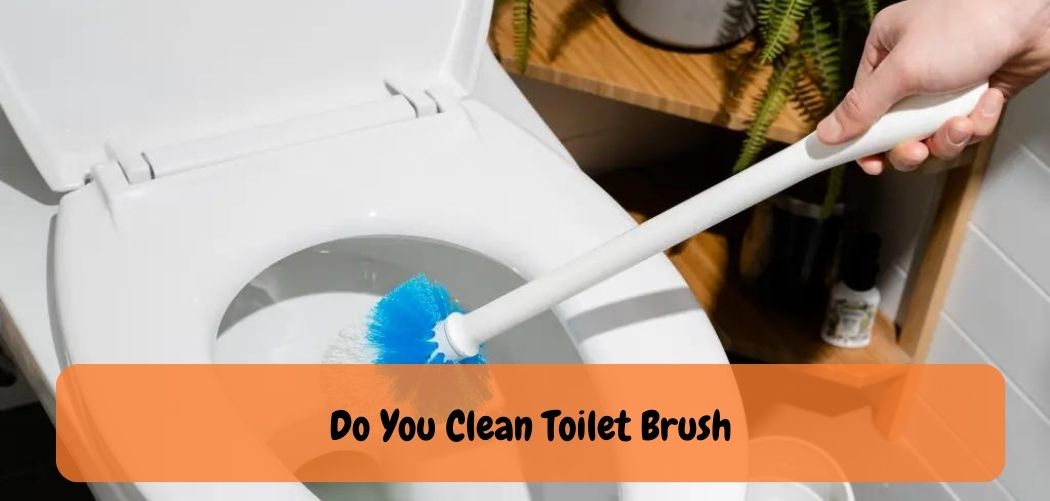 Do You Clean Toilet Brush