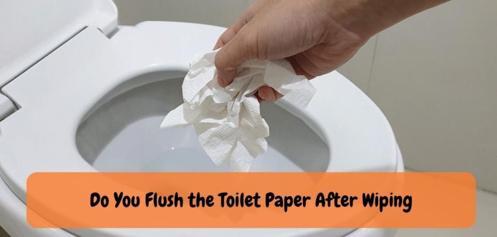 Do You Flush the Toilet Paper After Wiping