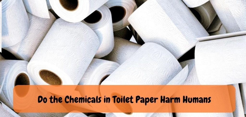 Do the Chemicals in Toilet Paper Harm Humans