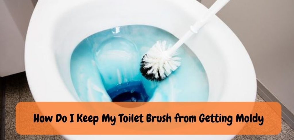 How Do I Keep My Toilet Brush from Getting Moldy