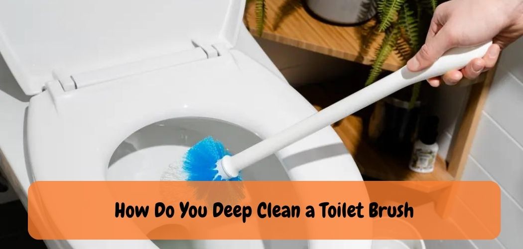 How to Clean Toilet Brush With Vinegar?