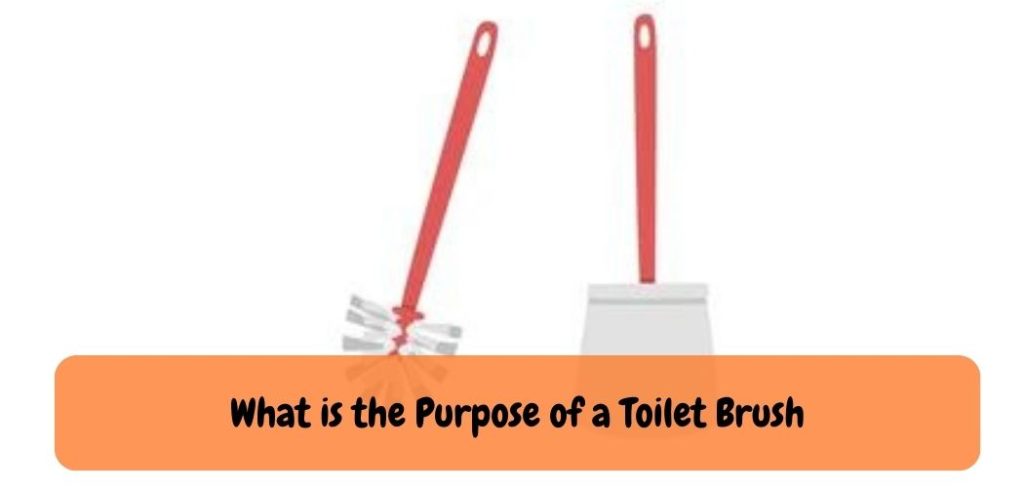 What is the Purpose of a Toilet Brush