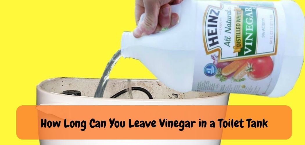 is-it-ok-to-put-vinegar-in-toilet-tank