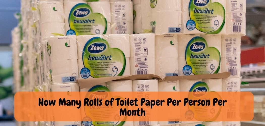 How Much Toilet Paper Is Used Per Day?