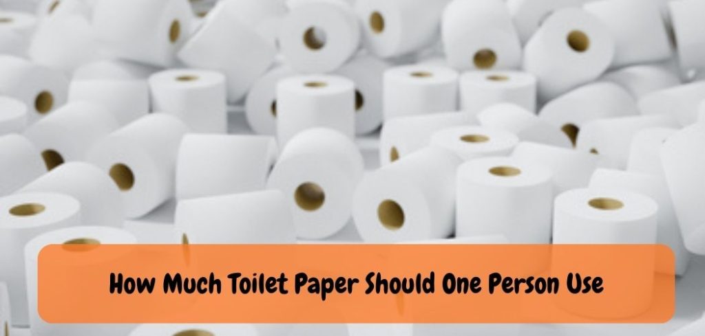 How Much Toilet Paper Should One Person Use