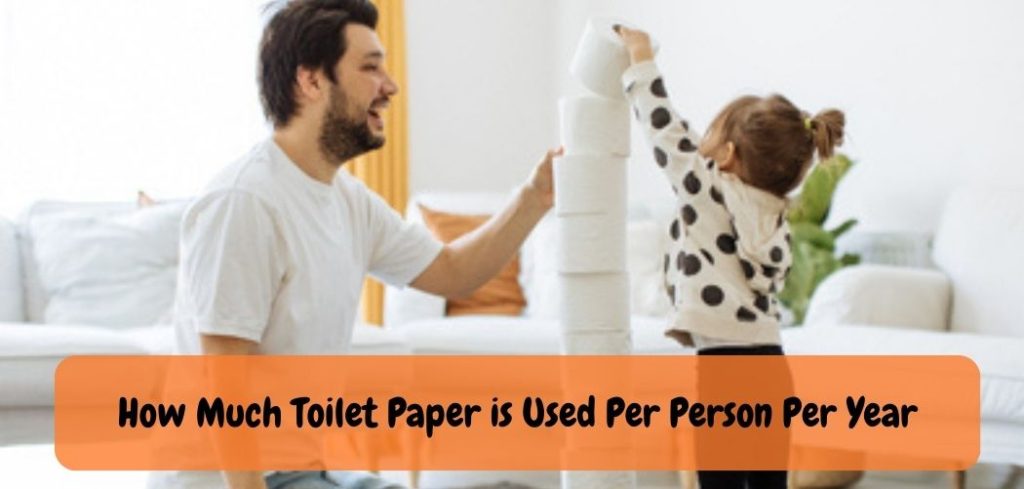 How Much Toilet Paper is Used Per Person Per Year