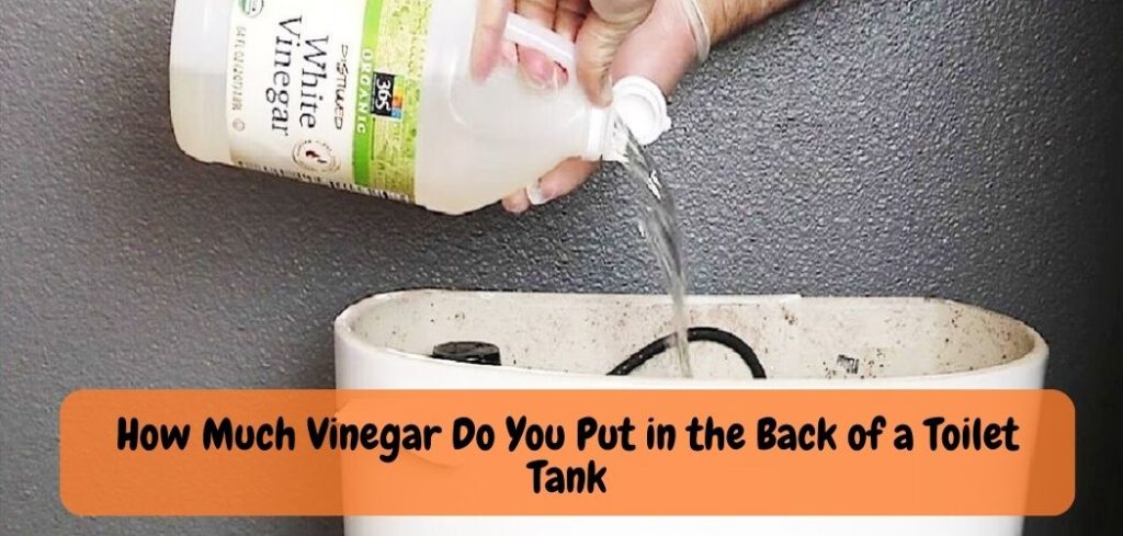 How Much Vinegar Do You Put in the Back 