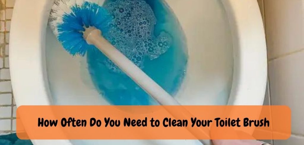 How Often Do You Need to Clean Your Toilet Brush