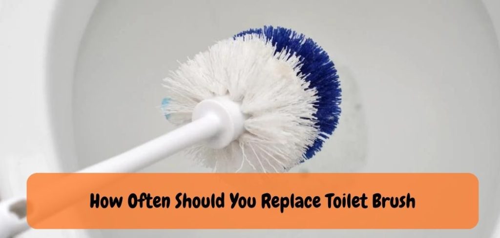 How Often Should You Replace Toilet Brush