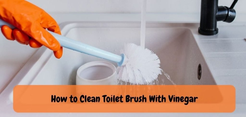 how-to-clean-toilet-brush-with-vinegar