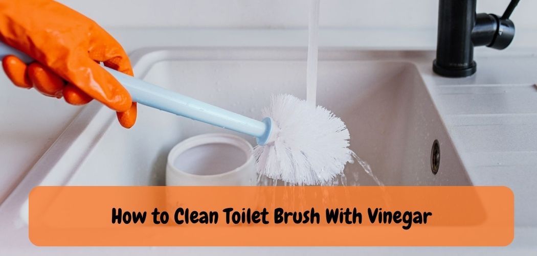 How to Clean Toilet Brush With Vinegar