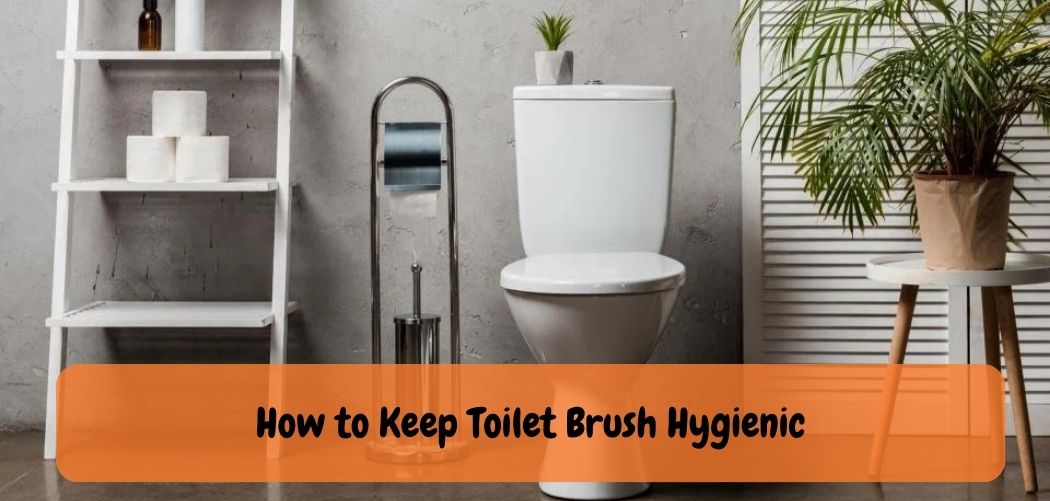 How to Keep Toilet Brush Hygienic