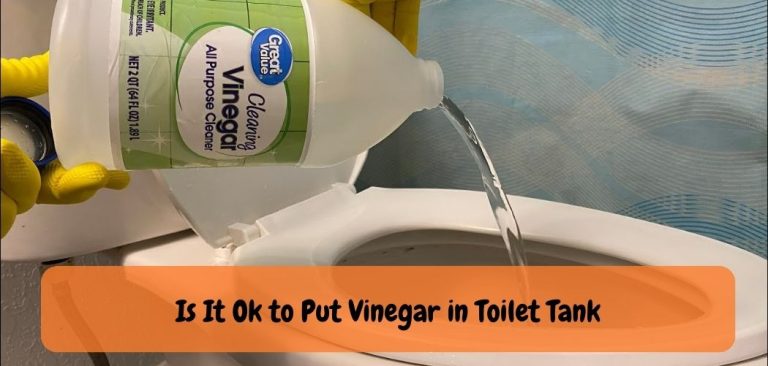 is-it-ok-to-put-vinegar-in-toilet-tank