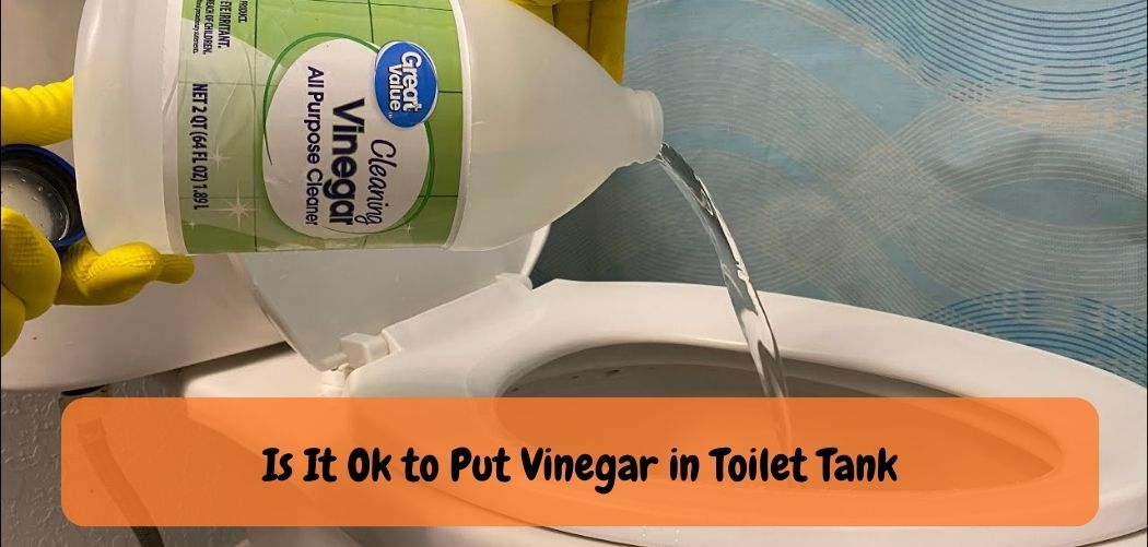 Is It Ok to Put Vinegar in Toilet Tank