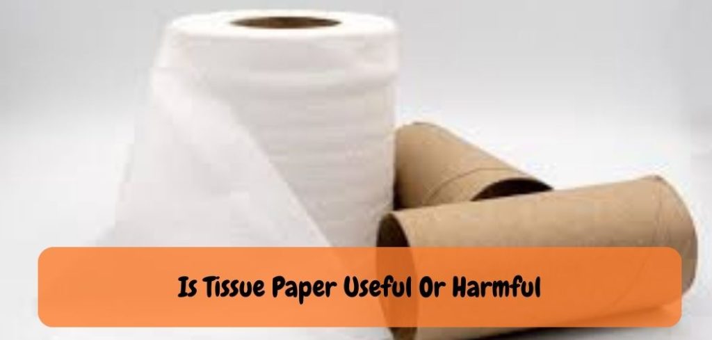 Is Tissue Paper Useful Or Harmful