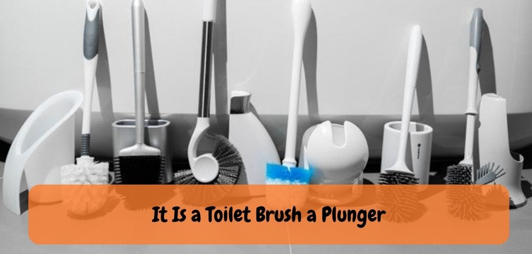 It Is a Toilet Brush a Plunger