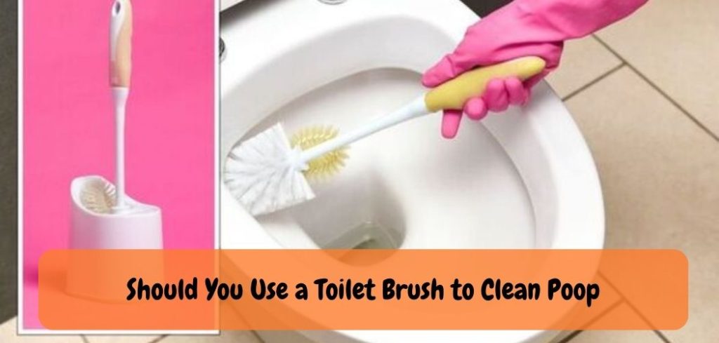 Should You Use a Toilet Brush to Clean Poop