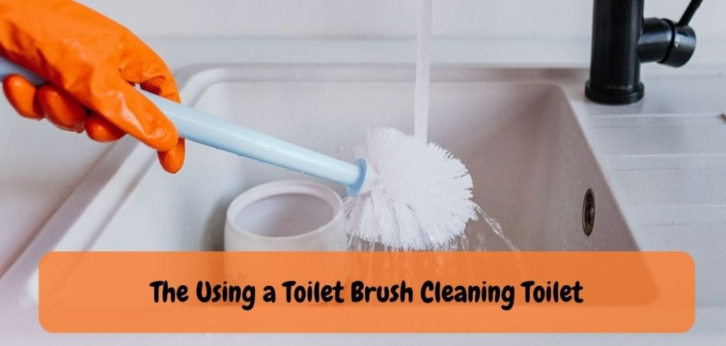 The Using a Toilet Brush Cleaning Toilet