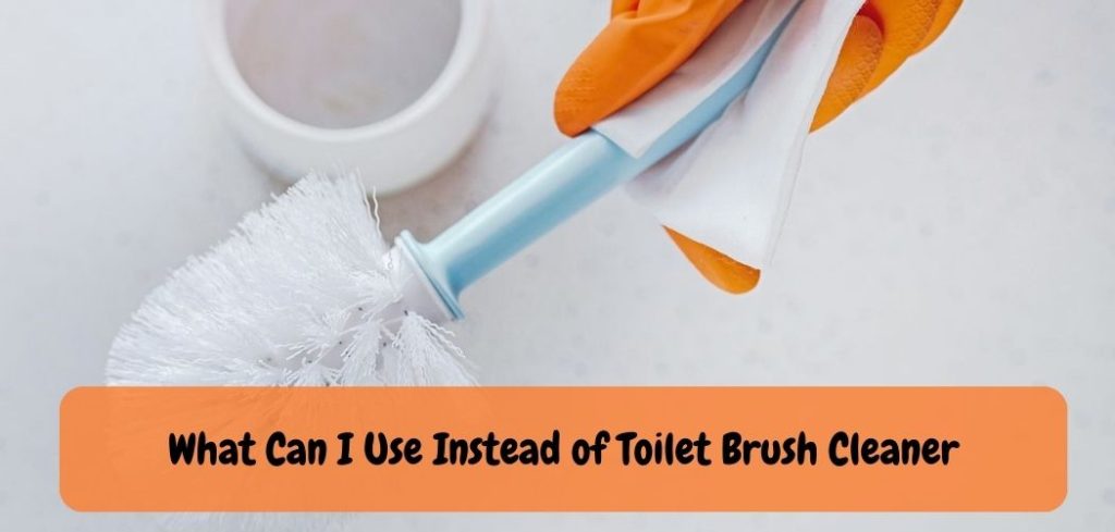 What Can I Use Instead of Toilet Brush Cleaner